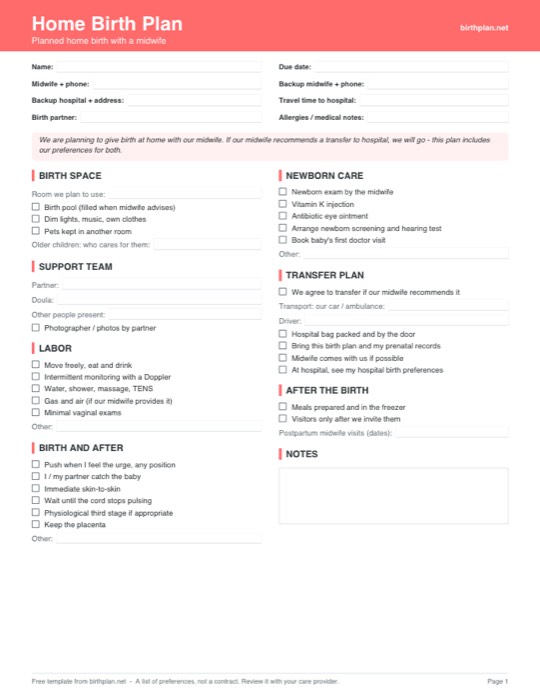 Preview of the free printable home birth plan template