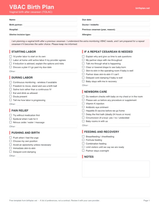 Preview of the free printable vbac birth plan template